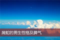 属蛇的男生性格及脾气