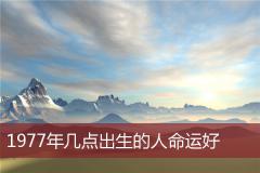 1977年几点出生的人命运好