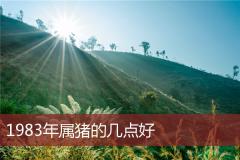 1983年属猪的几点好