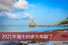 2021年属牛的多大年龄了