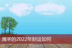 属羊的2022年财运如何