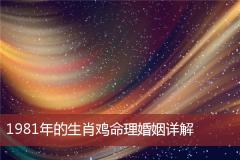 1981年的生肖鸡命理婚姻详解