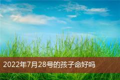 2022年7月28号的孩子命好吗